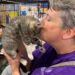 Volunteer to rescue cats and dogs