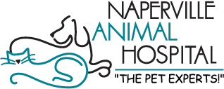 Naperville Animal Hospital